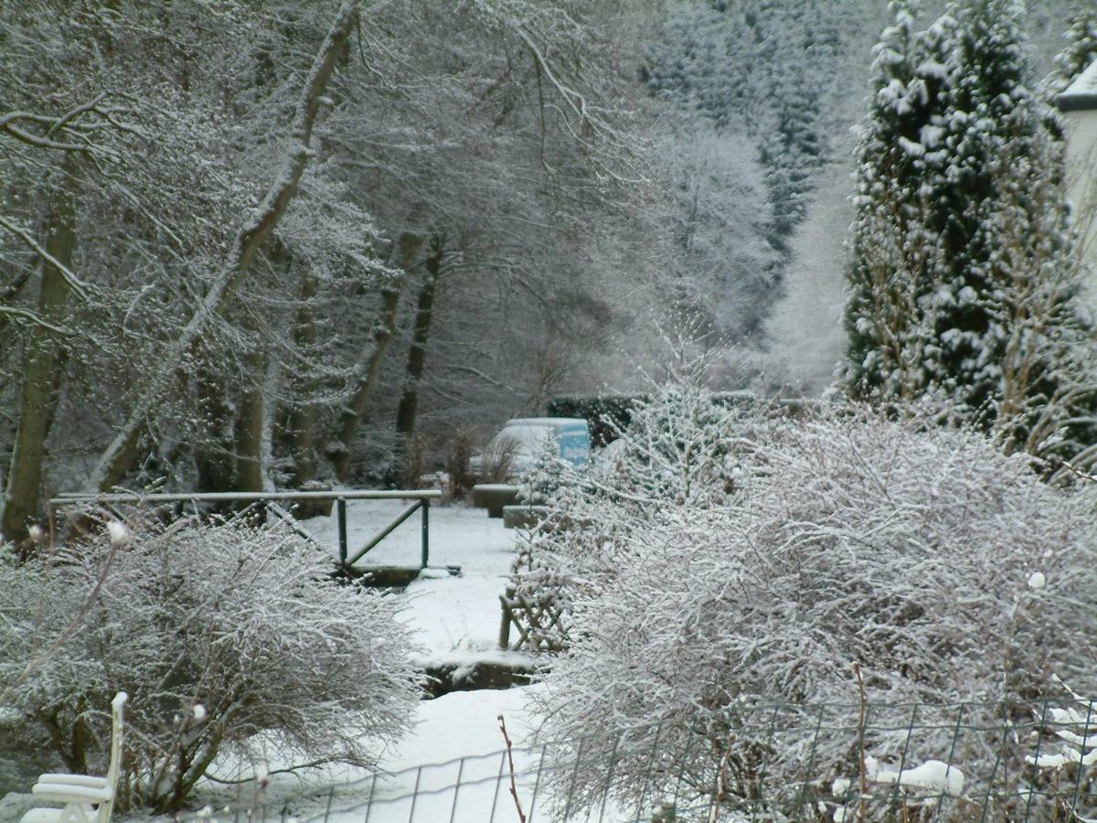 Grande Strument La-Roche-en-Ardenne Zewnętrze zdjęcie
